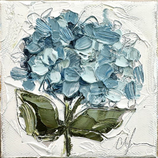 Little Hydrangea XXIII