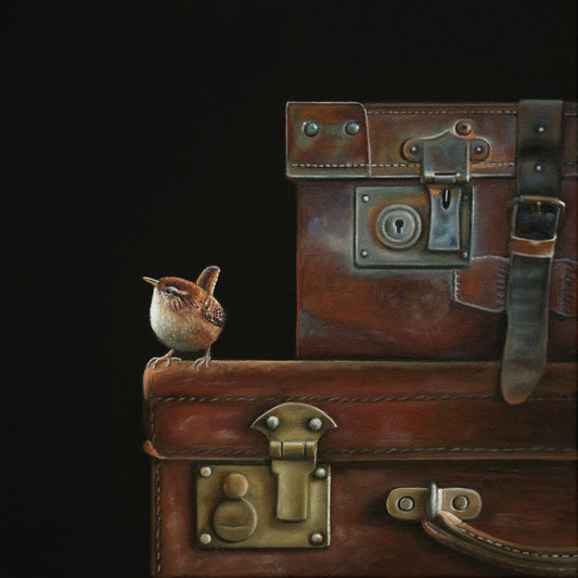 Luggage