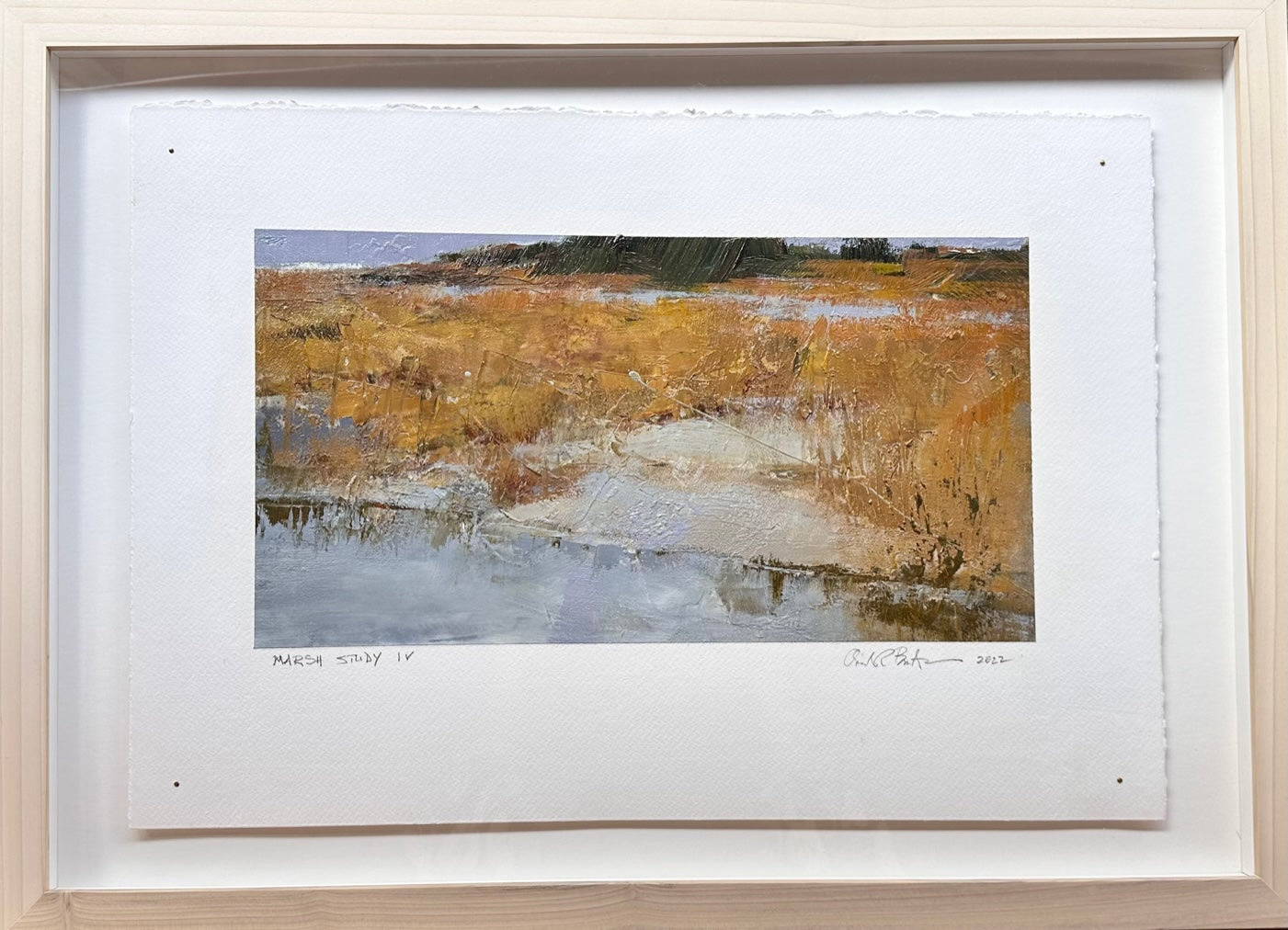 Marsh Study IV