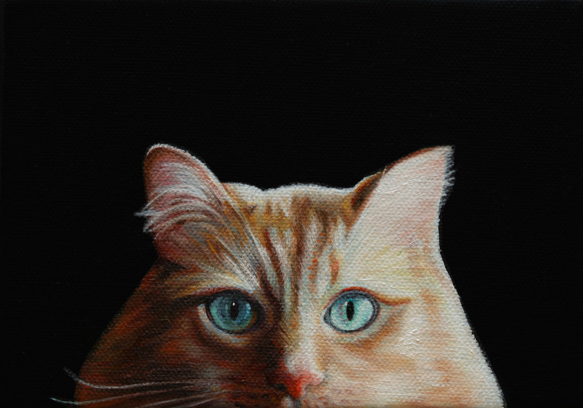 Meow
