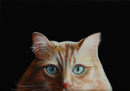 Meow