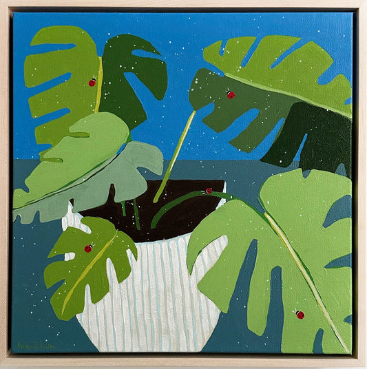 Monstera Houseplant
