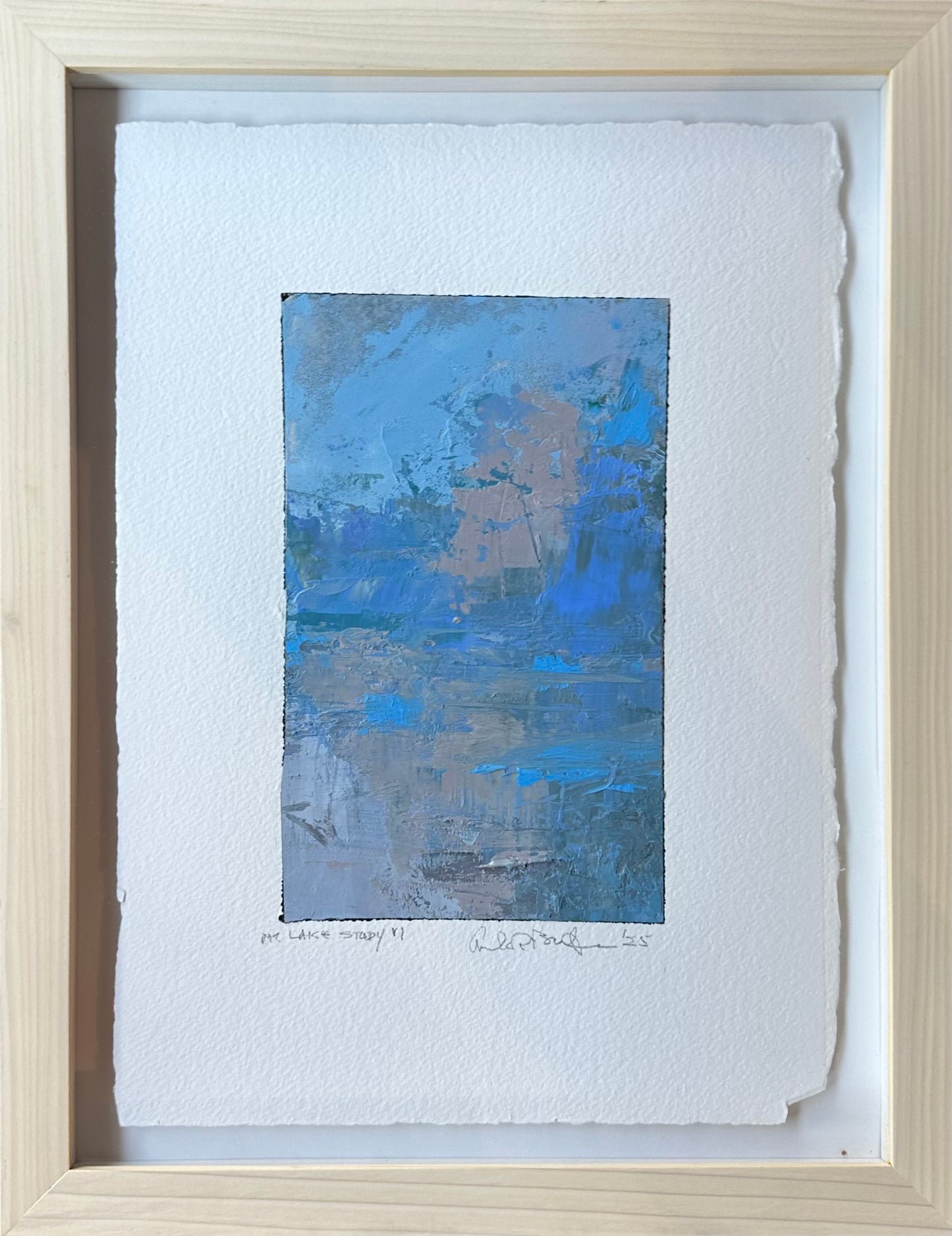 Mt. Lake Study VI