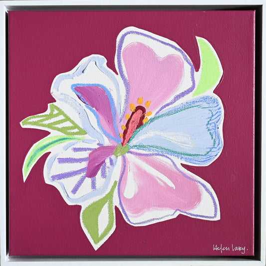 Mulberry Hibiscus