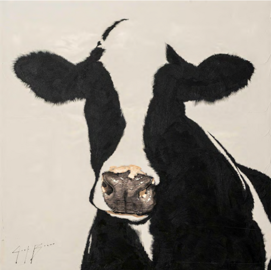 Nearly Invisible Cow on Grey