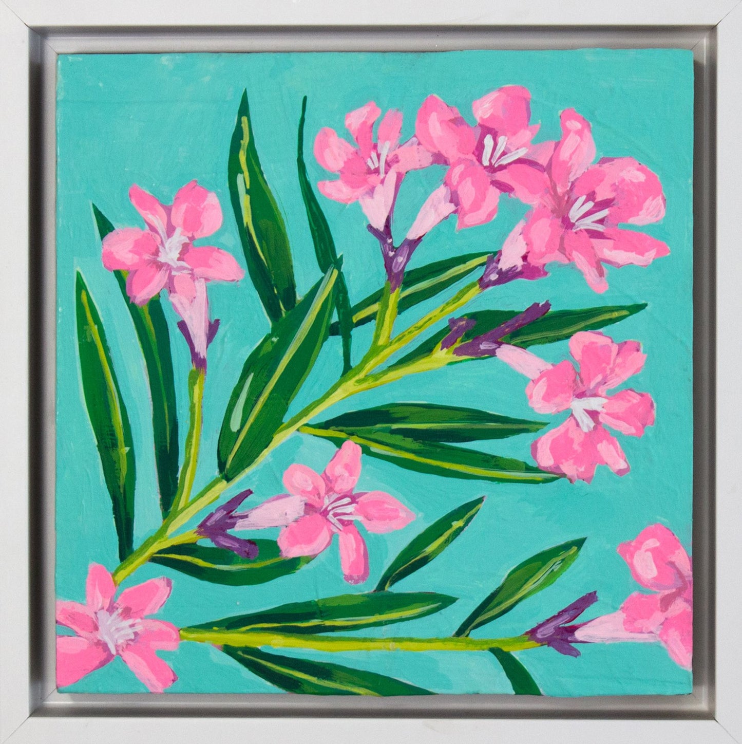 Oleander