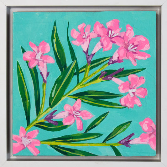 Oleander