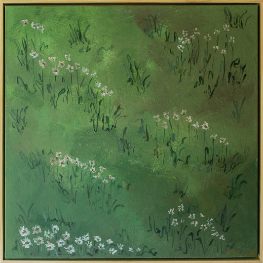 Oliveine Field