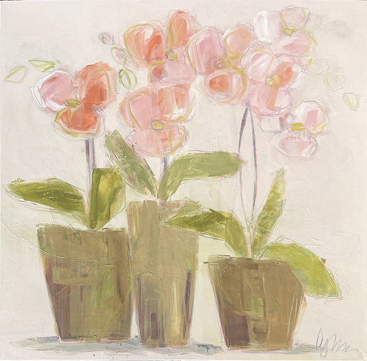 Orchid