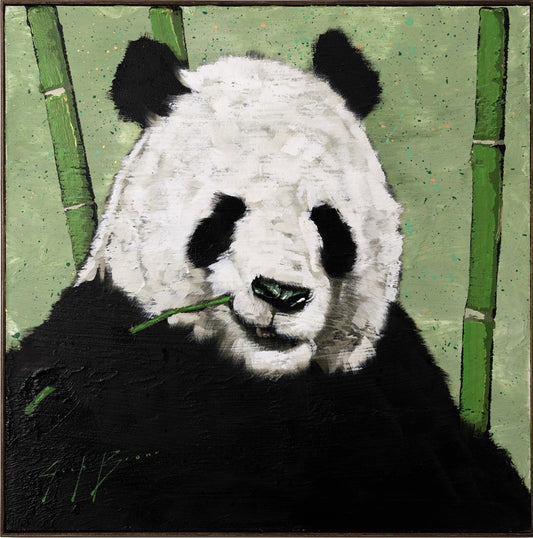 Panda Eating Bamboo
