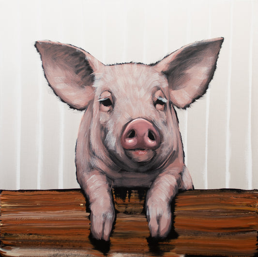Pig on Silver Stripes