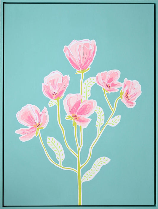 Pink Cosmos