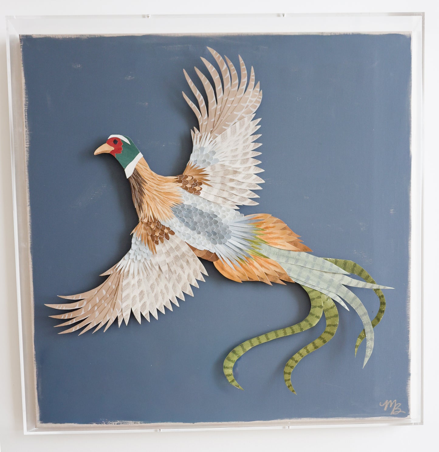 Plumage 1