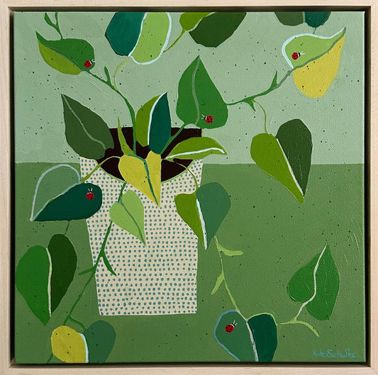 Pothos Houseplant