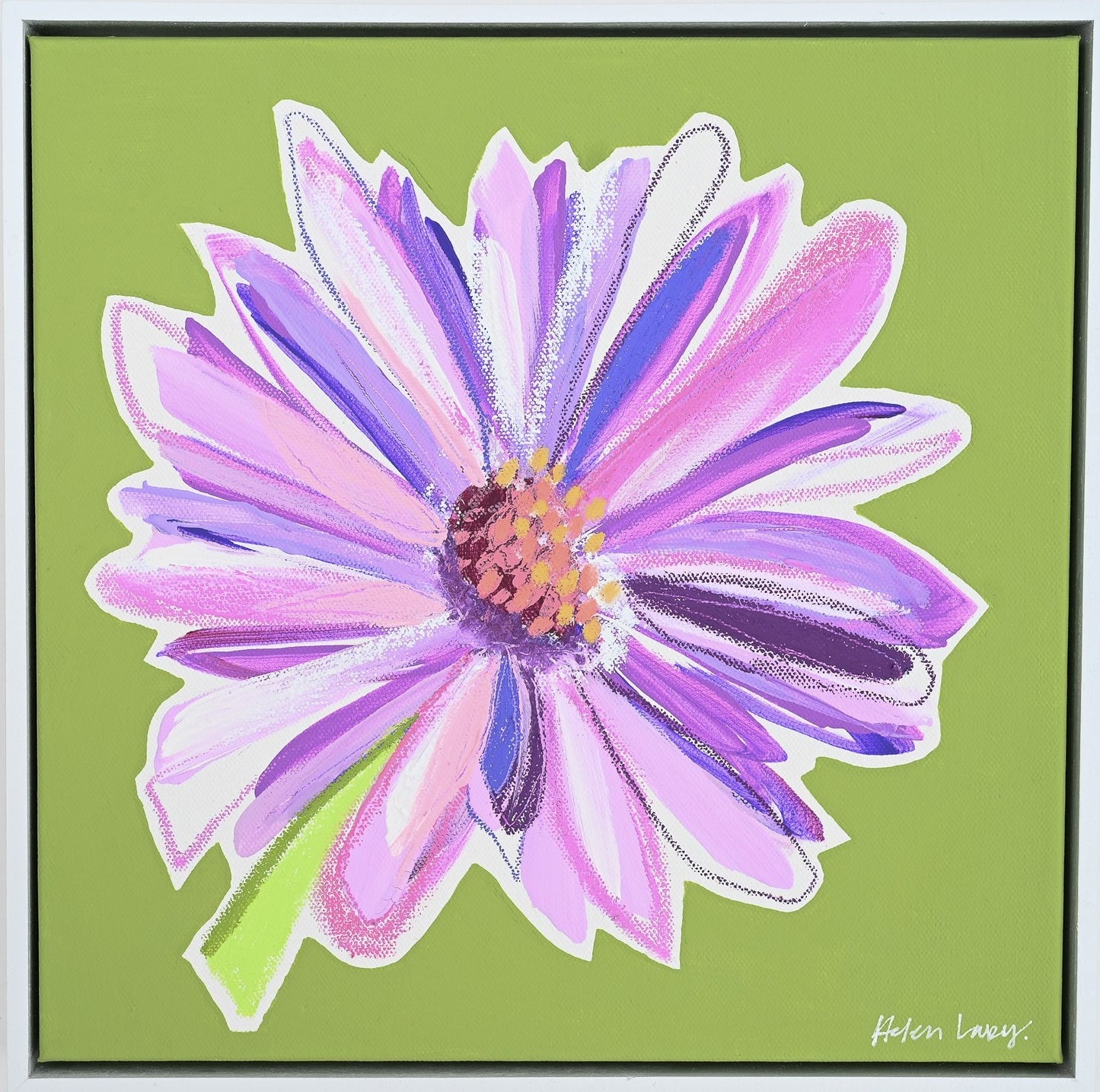 Purple Aster