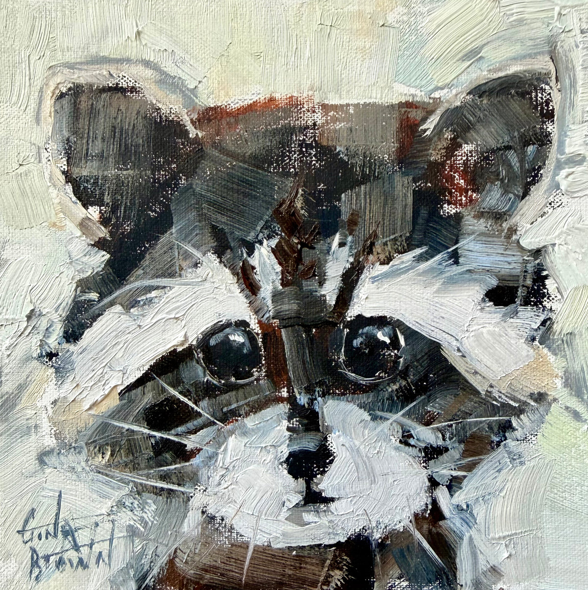 Raccoon
