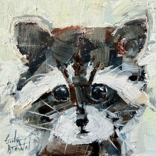 Raccoon