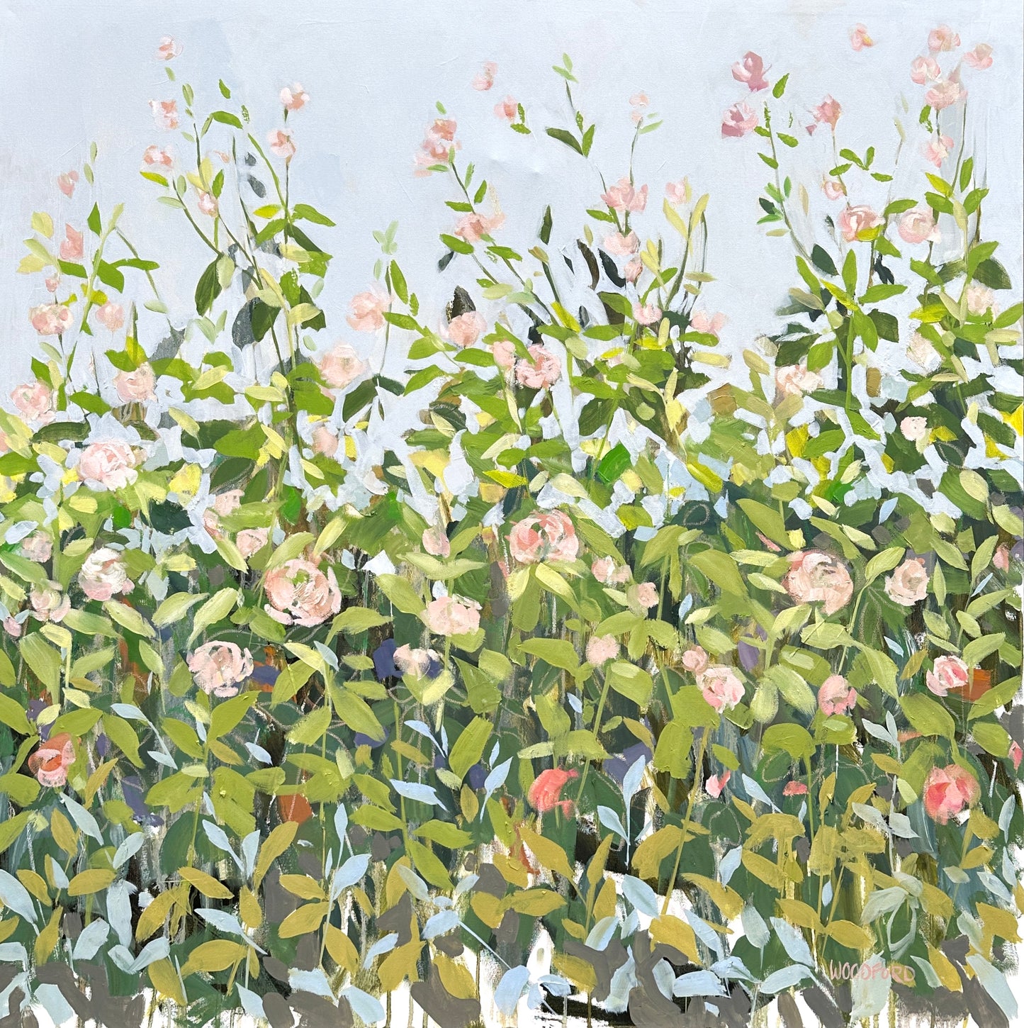 Rambling Rose