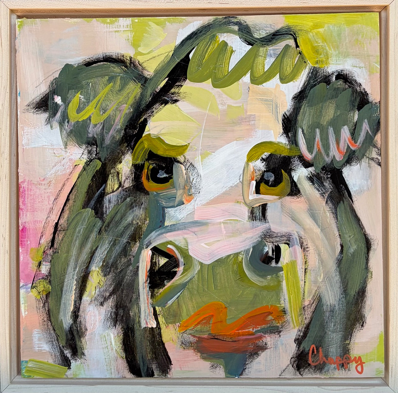 Sassafras