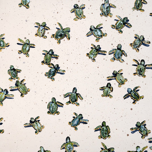Sea Turtles on White Sand II