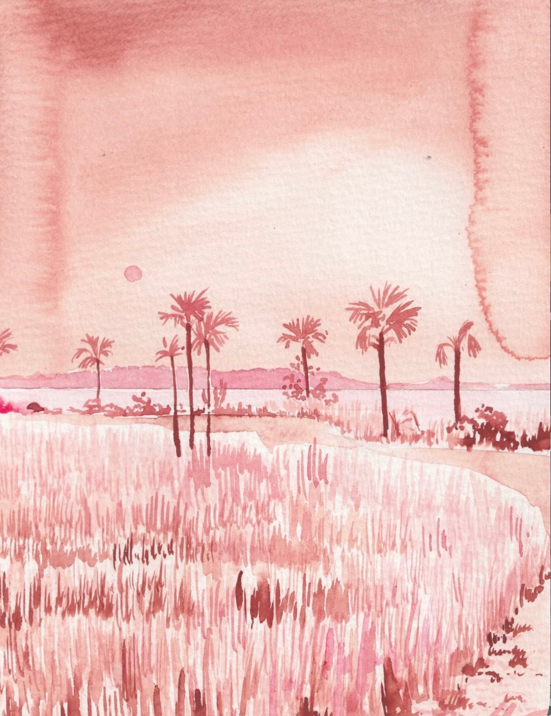 Seagrass