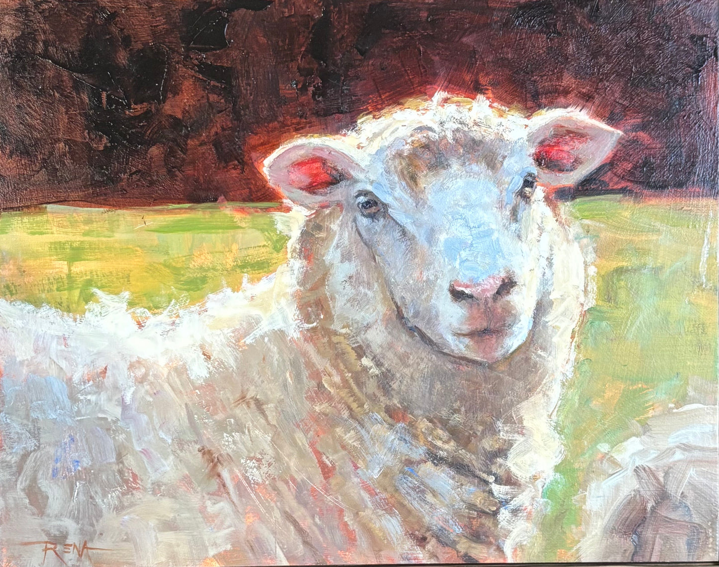 Sheep