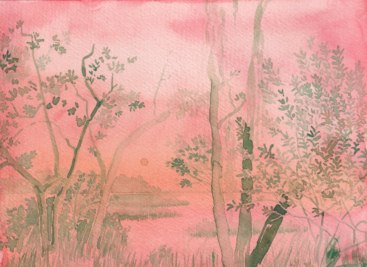 Spartina Song