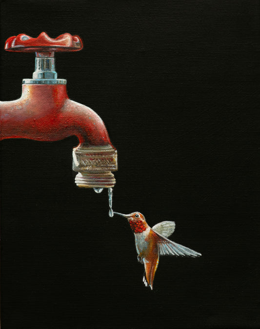 Splash