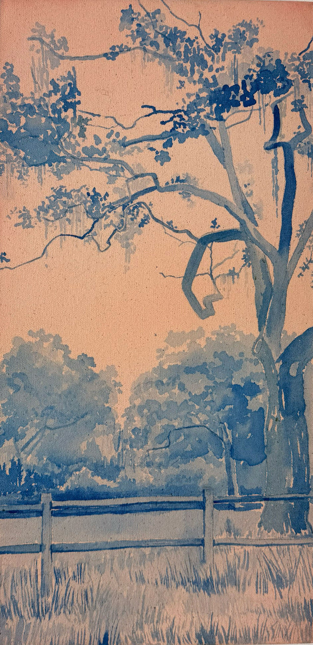 The Vulture Tree