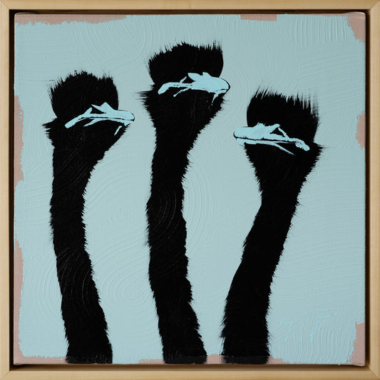 Three Teal Ostrich on Teal