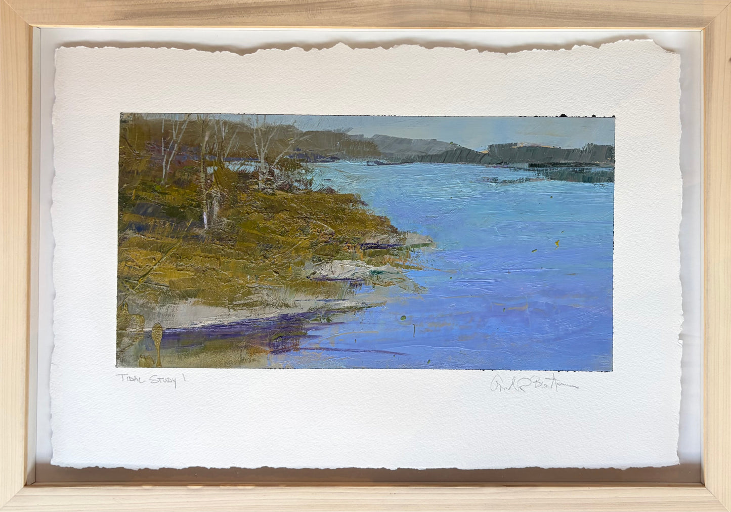 Tidal Study I