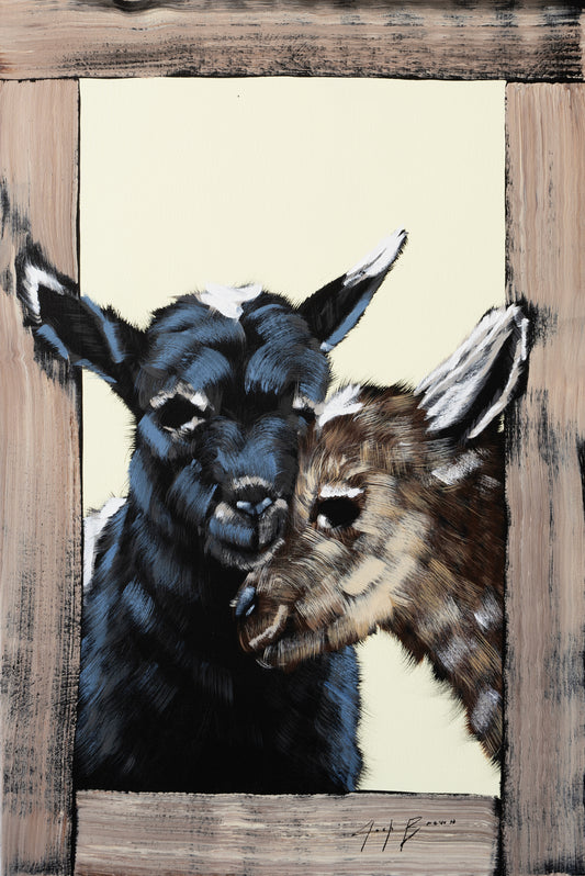 Two Baby Goats in Wooden Window