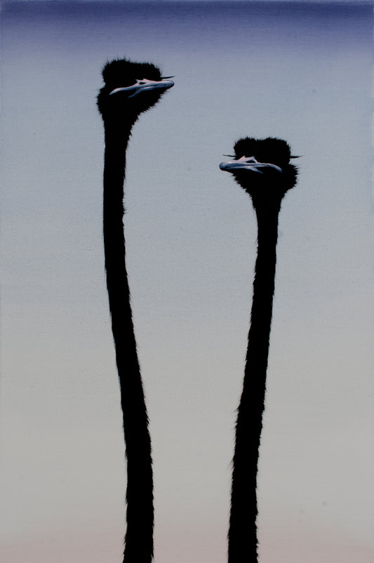 Two Ostrich on Sunrise 3