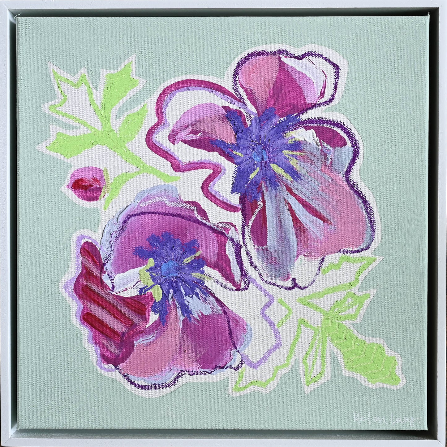 Violet Anemone