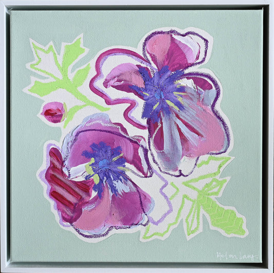 Violet Anemone