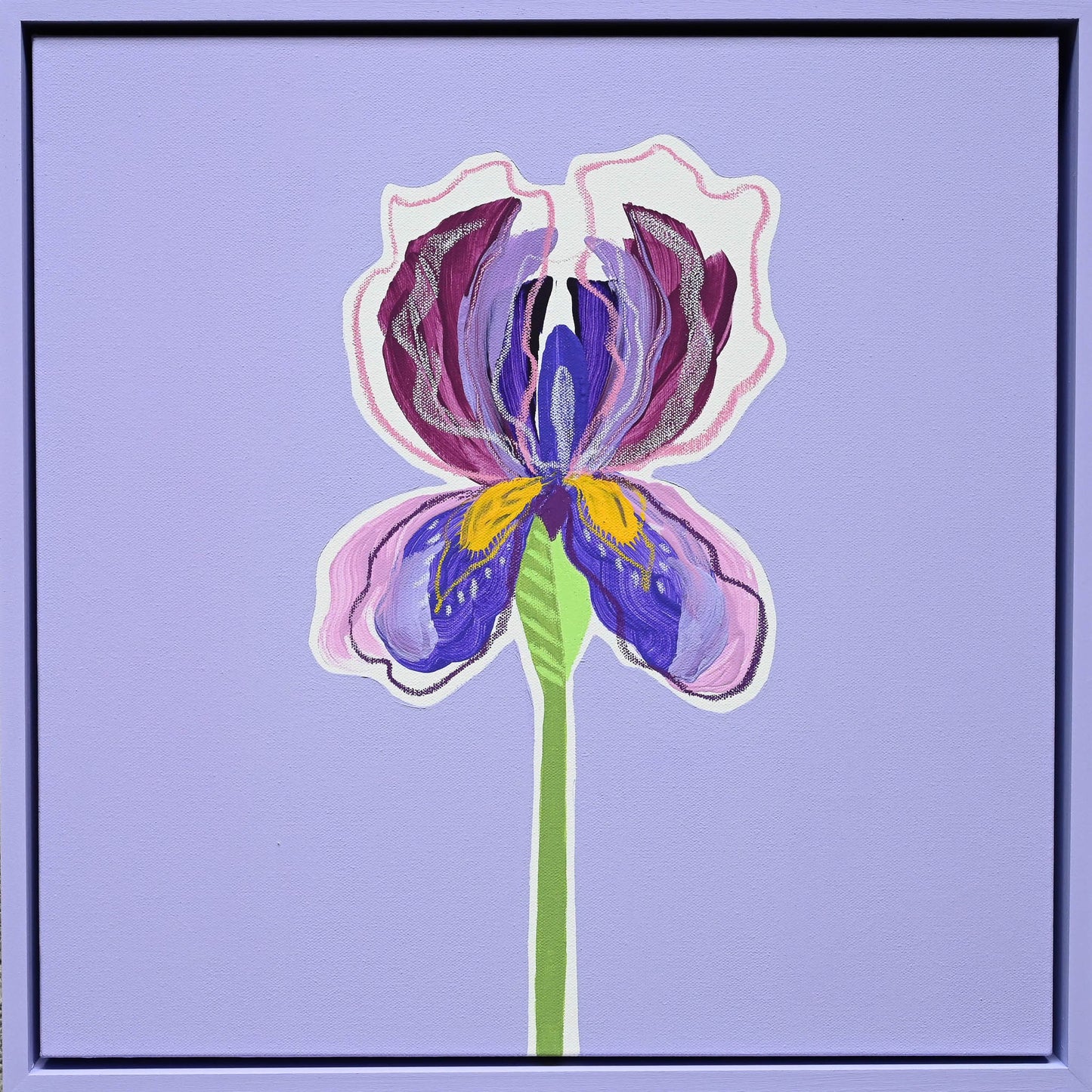 Violet Iris