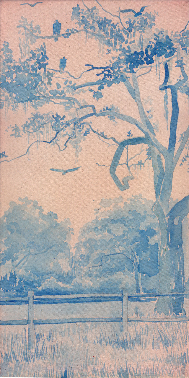 The Vulture Tree