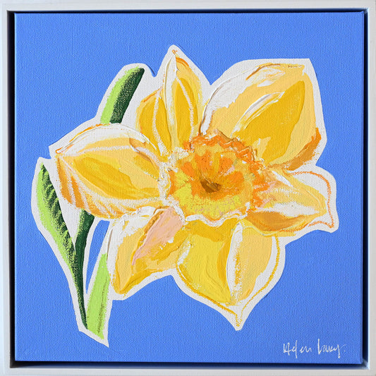 Yellow Daffodil