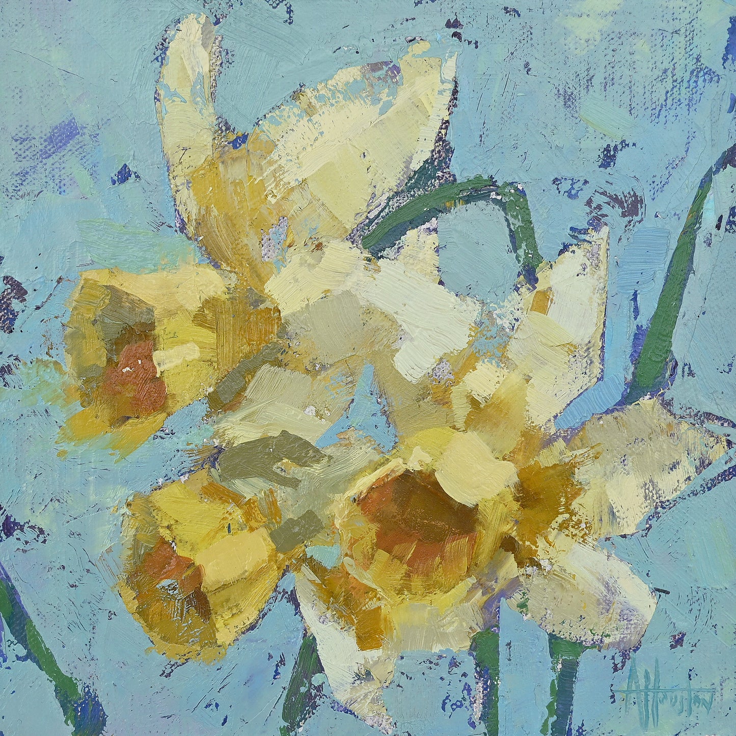 Spring Daffodils