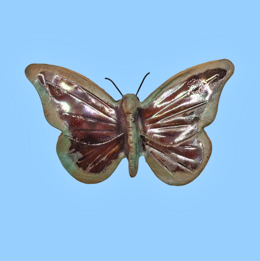 Anemone Butterfly