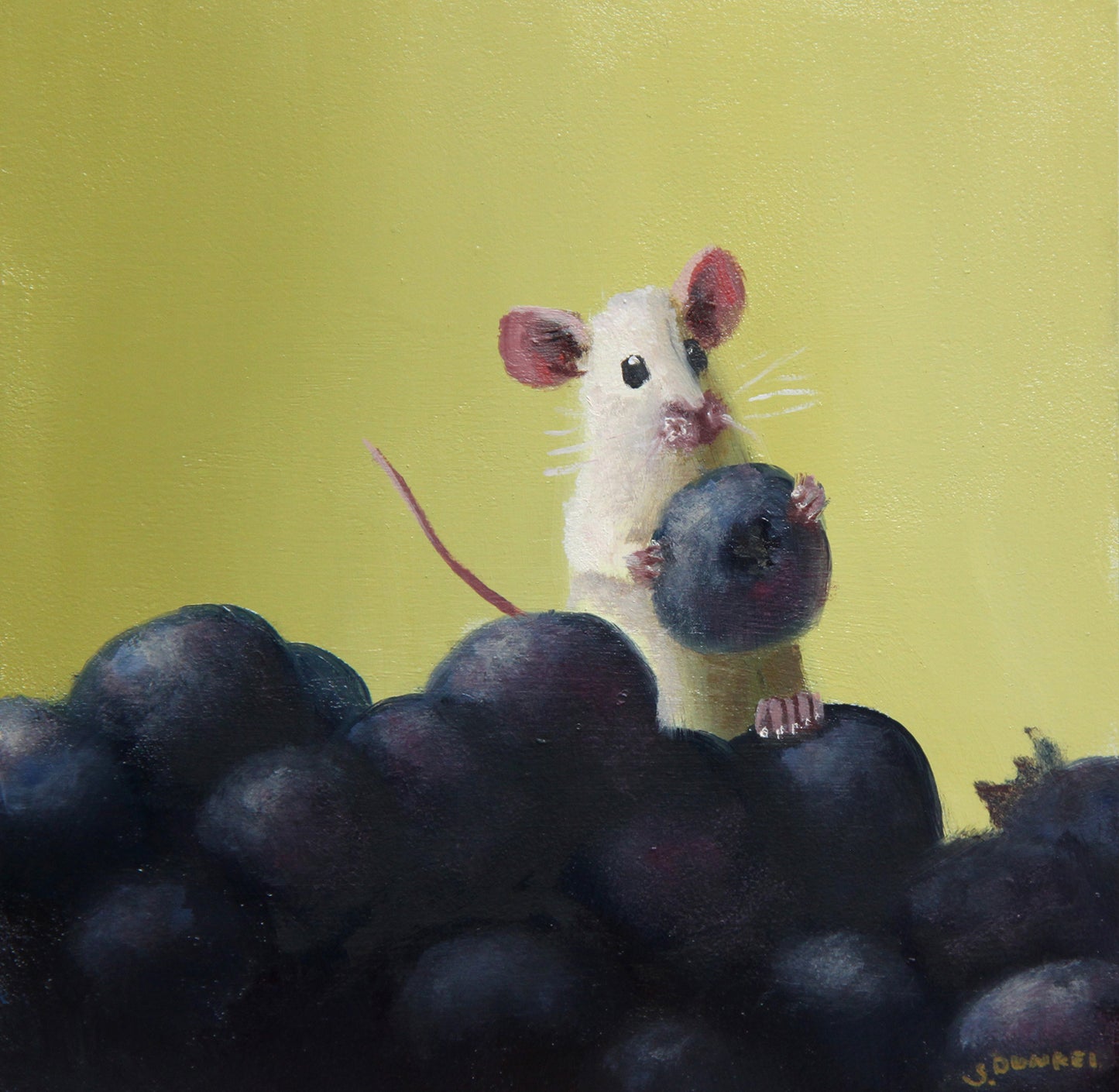 Blueberry Mountain