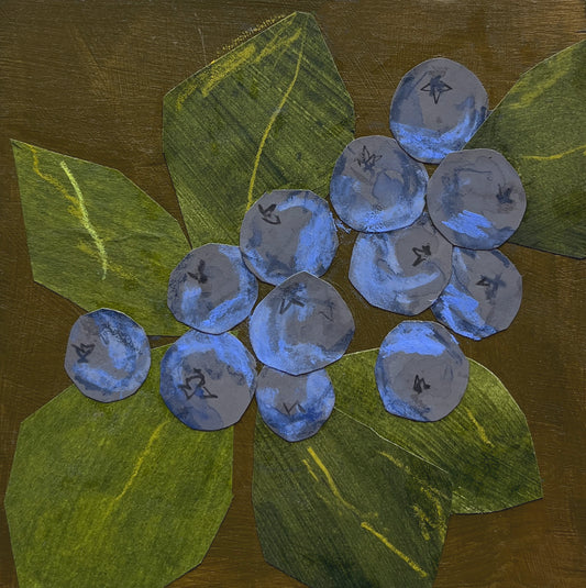 Blueberry Study