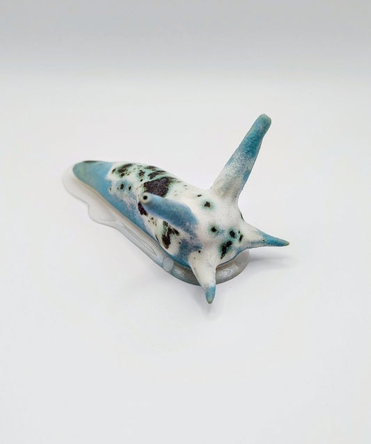 Blue Moon Slug