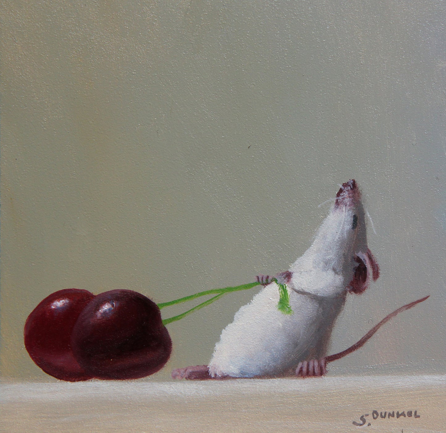 Cherry Chaser