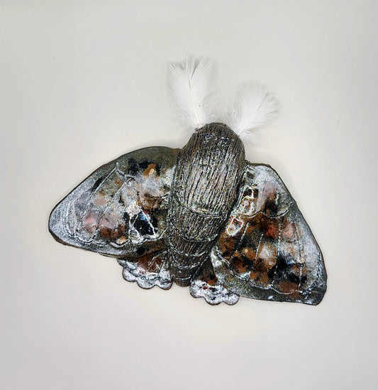 Cosmic Moth