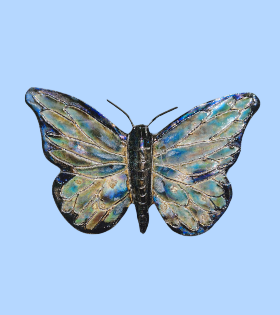 Galaxy Butterfly