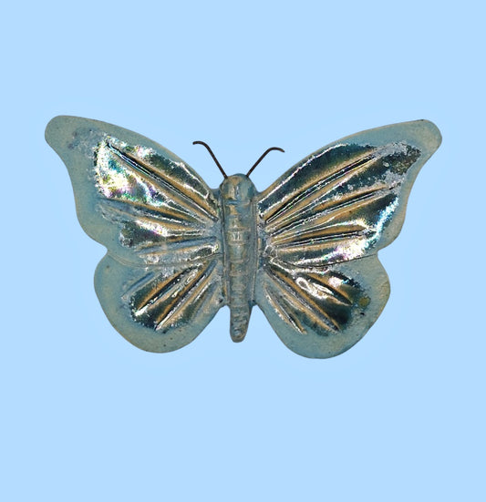 Hydrangea Butterfly