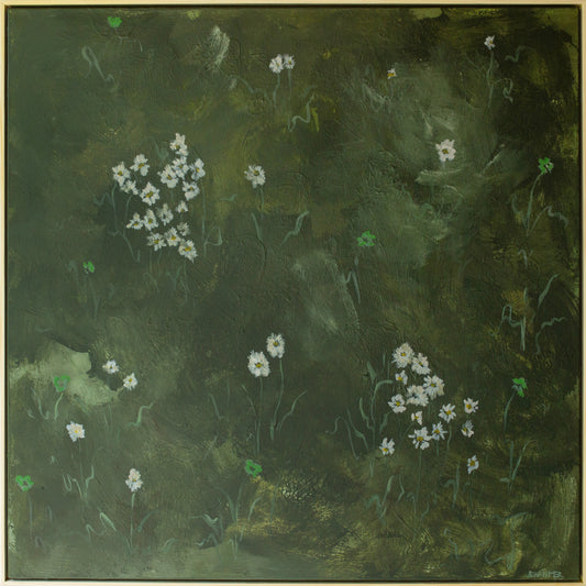 Field for Spring