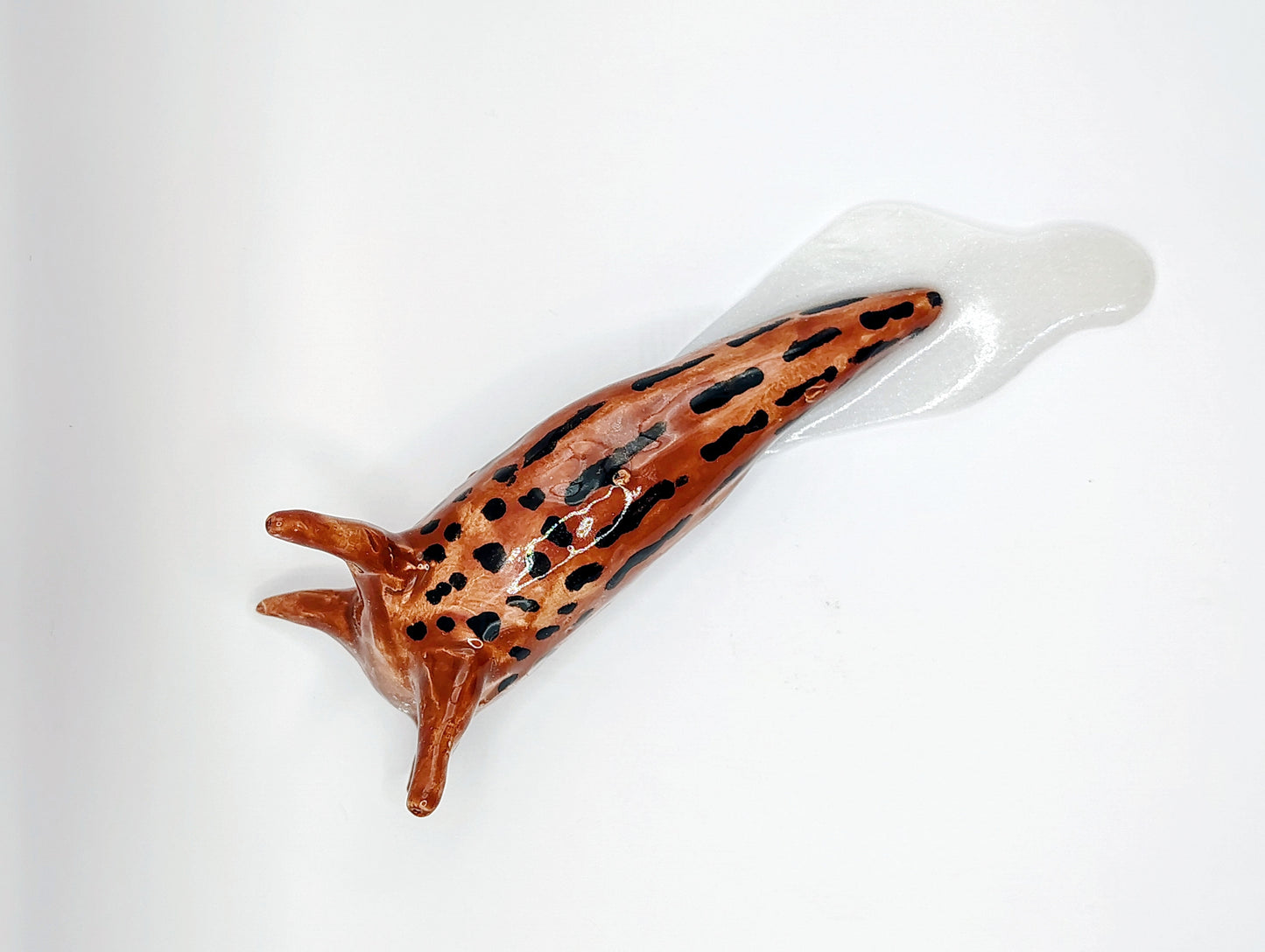 Leopard Slug 2