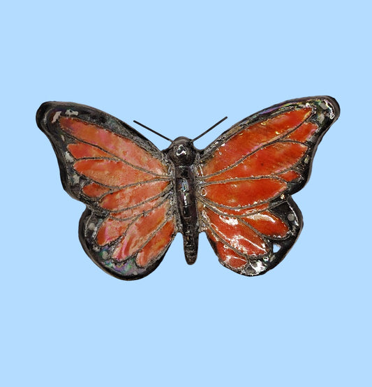 Milkweed Butterfly 1
